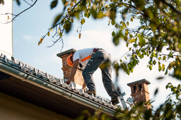 Best Storm Damage Roof Repair  in Westover, WV