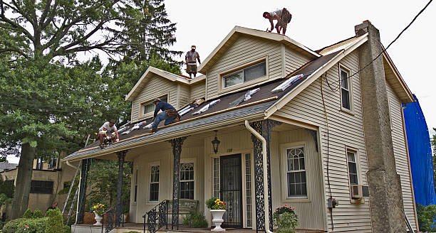 Best Flat Roof Repair Services  in Westover, WV